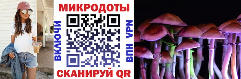 Галлюциногенные грибы Psilocybine cubensis Бабушкин